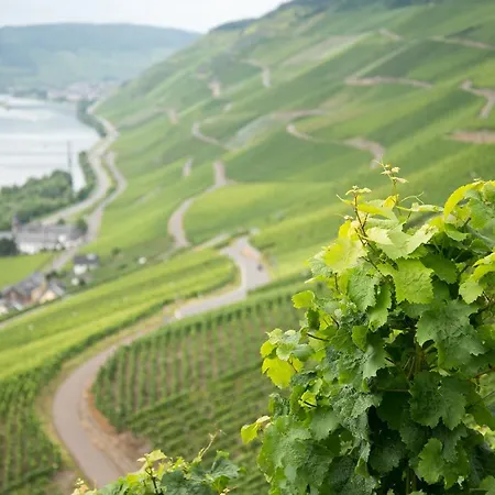 Zum Himmelreich Graach