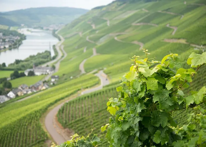 Zum Himmelreich Graach